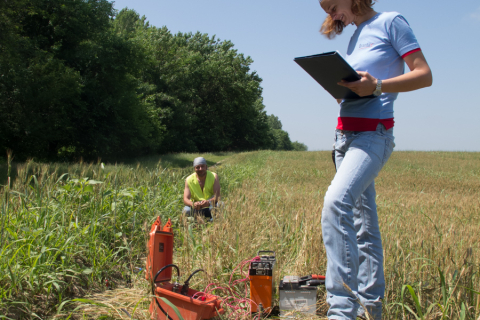 Vertical Electrical Sounding (VES) (4)
